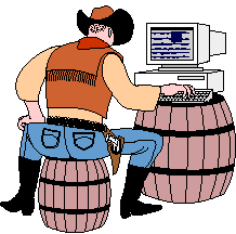 Graphics cowboy 676150